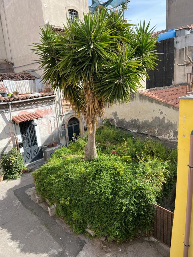 Bnb San Barnaba คาตาเนีย ภายนอก รูปภาพ